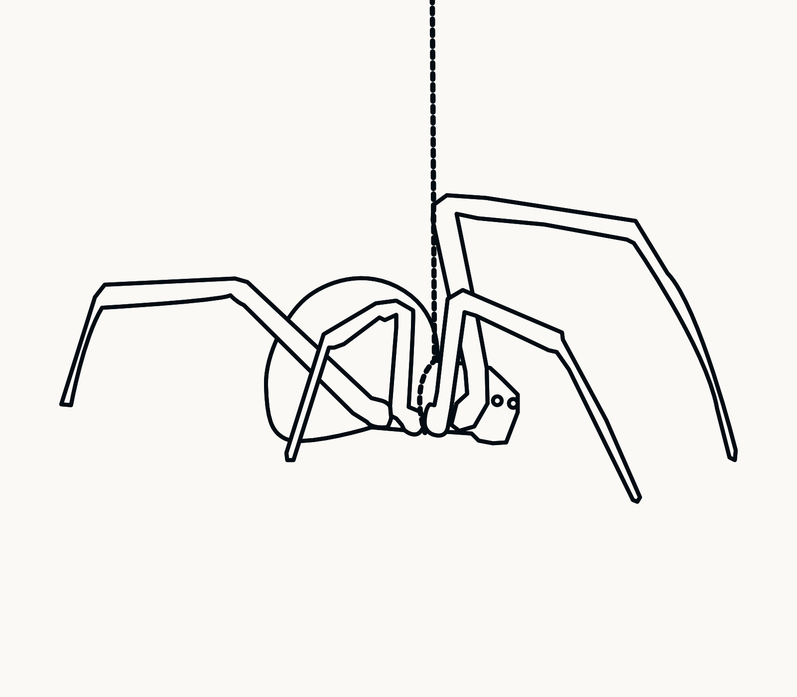 Diagram of spider hanging from harness